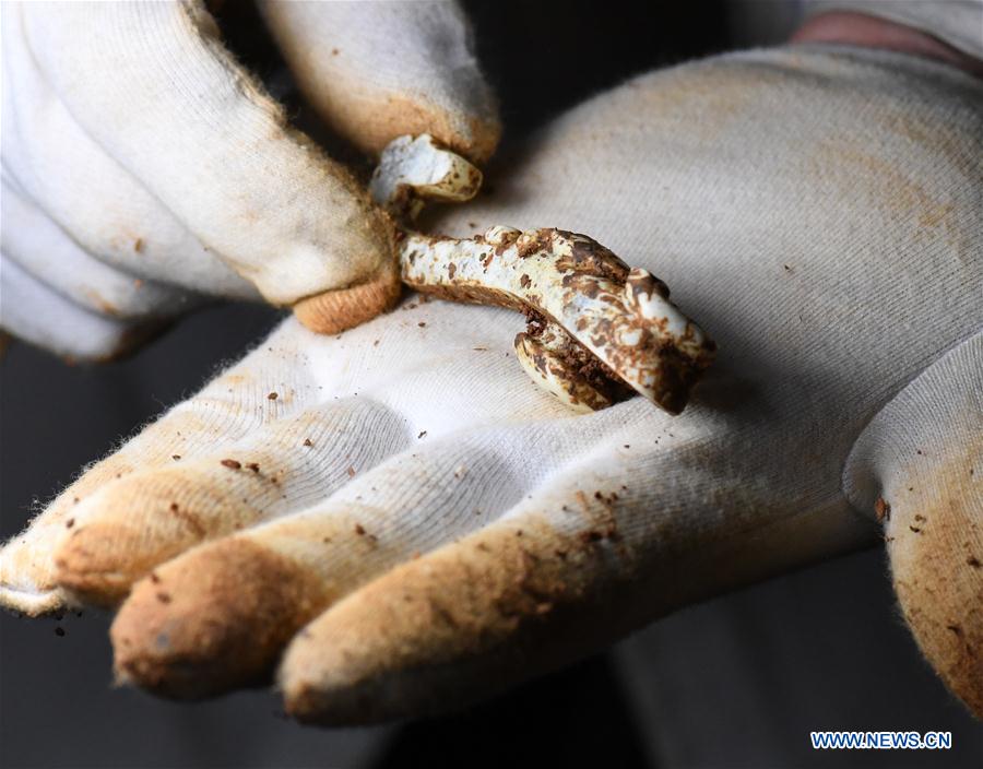 China refor?ará a prote??o das relíquias culturais