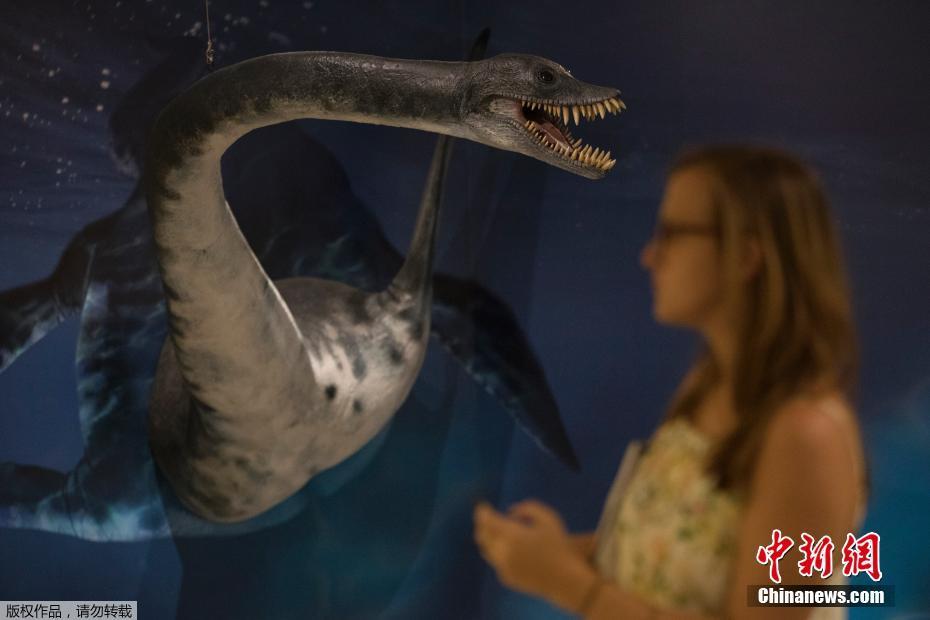 Museu Nacional do Brasil inaugura primeira exposi??o após incêndio