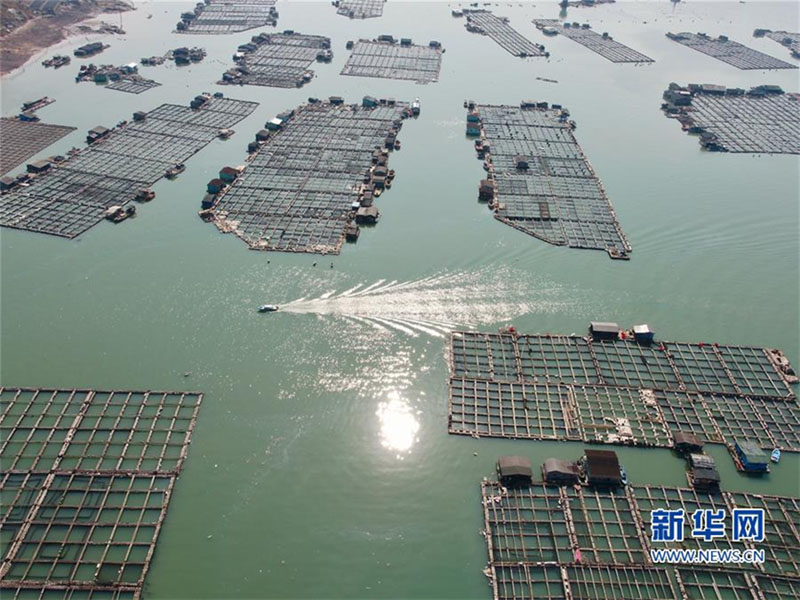 Shi Jin, o “carteiro navegante”