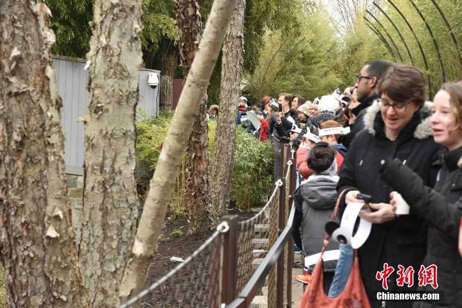 Pandas de zoológico de Washington recebem novo lar