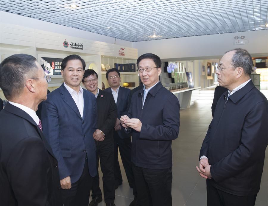 Vice-premiê chinês destaca prote??o ambiental e apoio à economia real