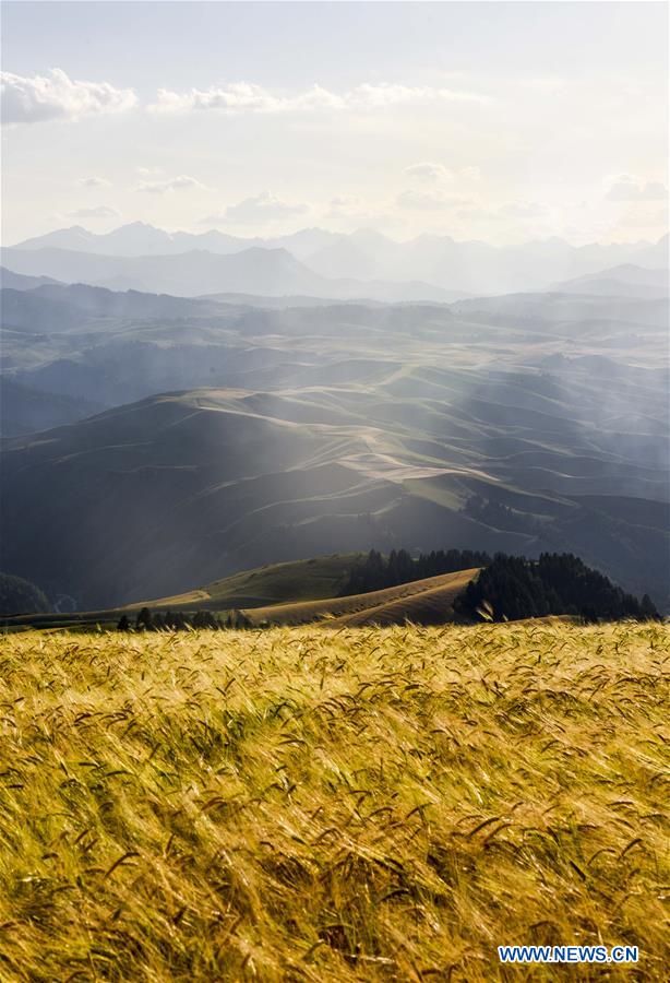 China aprofunda Implementa??o da estratégia de revitaliza??o rural