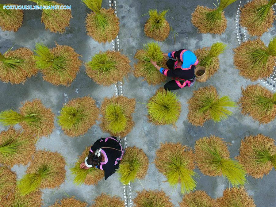 Estratégia de revitaliza??o rural torna o campo mais bonito e modernizado