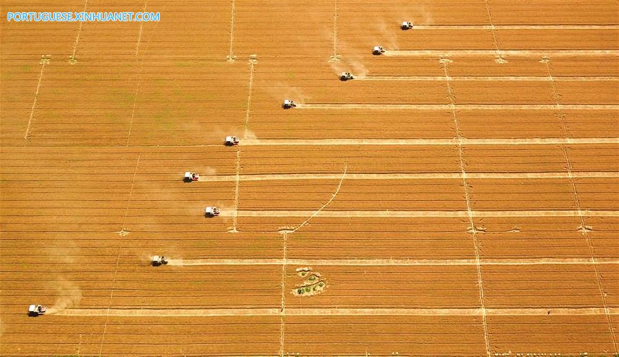 Estratégia de revitaliza??o rural torna o campo mais bonito e modernizado