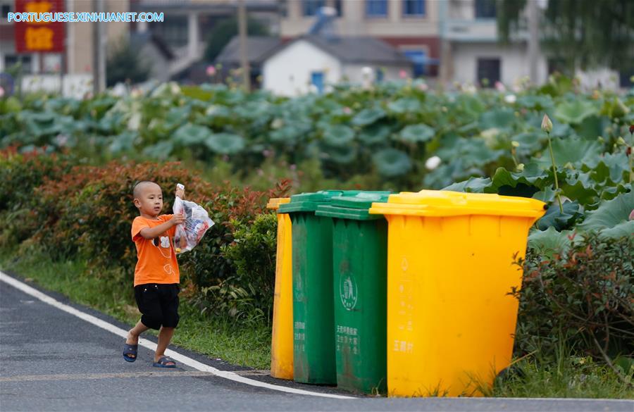 Estratégia de revitaliza??o rural torna o campo mais bonito e modernizado