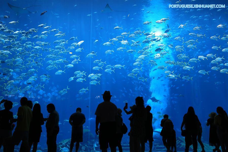 Província de Hainan constrói circuito rodoviário para impulsionar o turismo