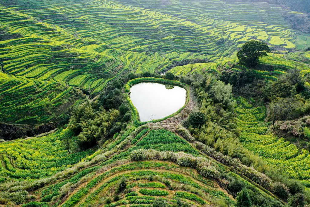 Galeria: aldeia de Wuyuan acolhe chegada da primavera