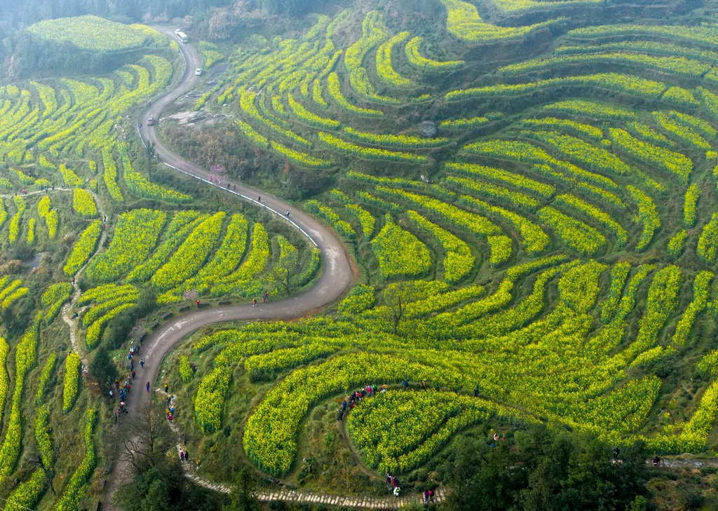 Galeria: aldeia de Wuyuan acolhe chegada da primavera