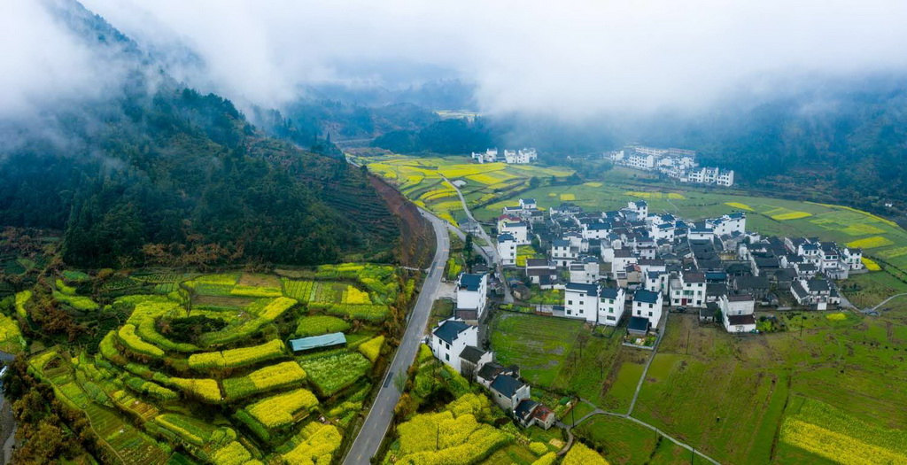 Galeria: aldeia de Wuyuan acolhe chegada da primavera
