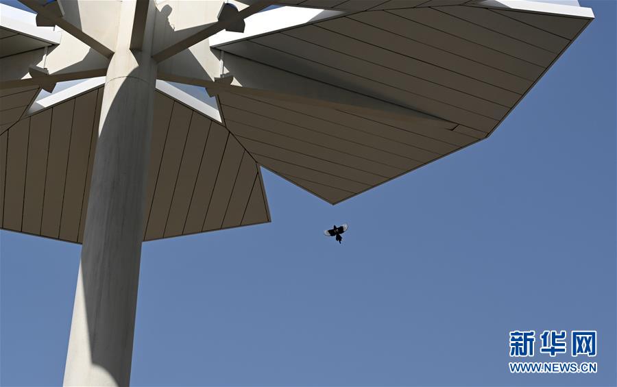 Galeria: Exposi??o Mundial de Horticultura de Beijing será inaugurada no próximo mês