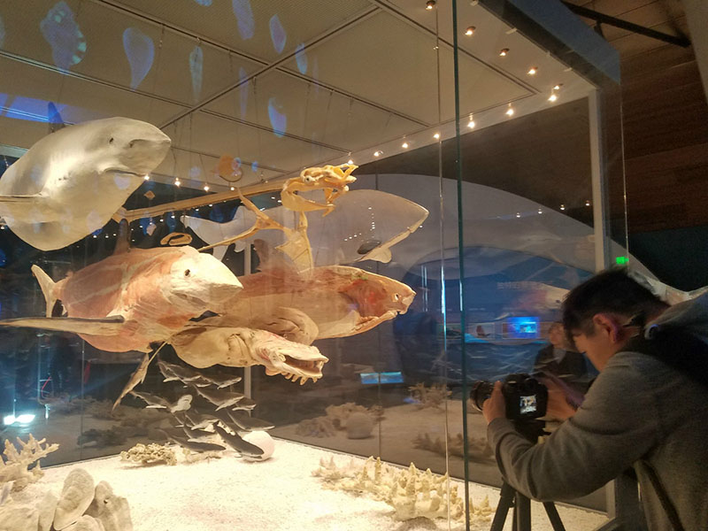 Museu marítimo chinês tem abertura prevista para este ano