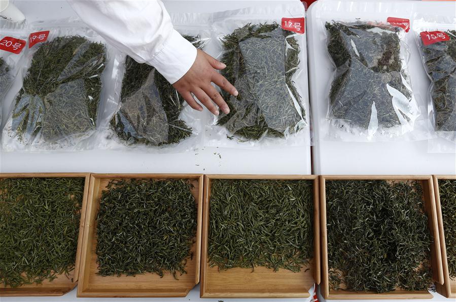 Competi??o de chá em Huangshan, província de Anhui