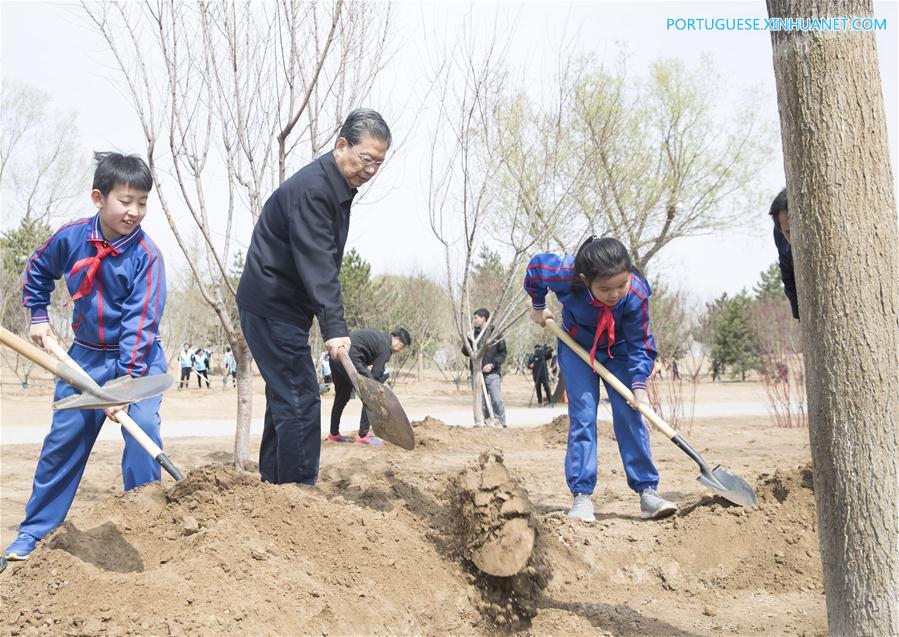 Xi destaca ampla participa??o na promo??o do reflorestamento