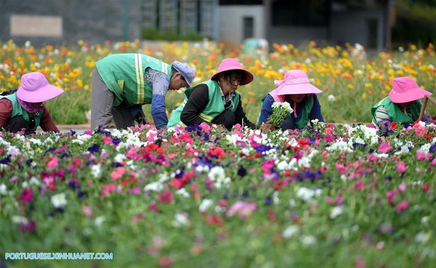 Galeria:Pessoas visitam o jardim da Exposi??o Internacional de Horticultura em Kunming, sudoeste da China