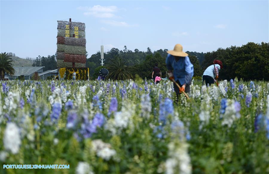 Galeria:Pessoas visitam o jardim da Exposi??o Internacional de Horticultura em Kunming, sudoeste da China