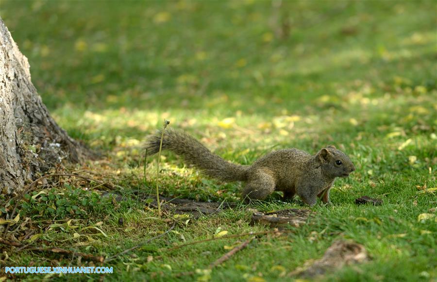 Galeria:Pessoas visitam o jardim da Exposi??o Internacional de Horticultura em Kunming, sudoeste da China