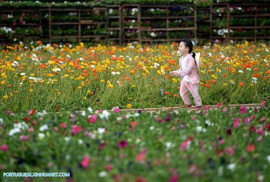 Galeria:Pessoas visitam o jardim da Exposi??o Internacional de Horticultura em Kunming, sudoeste da China