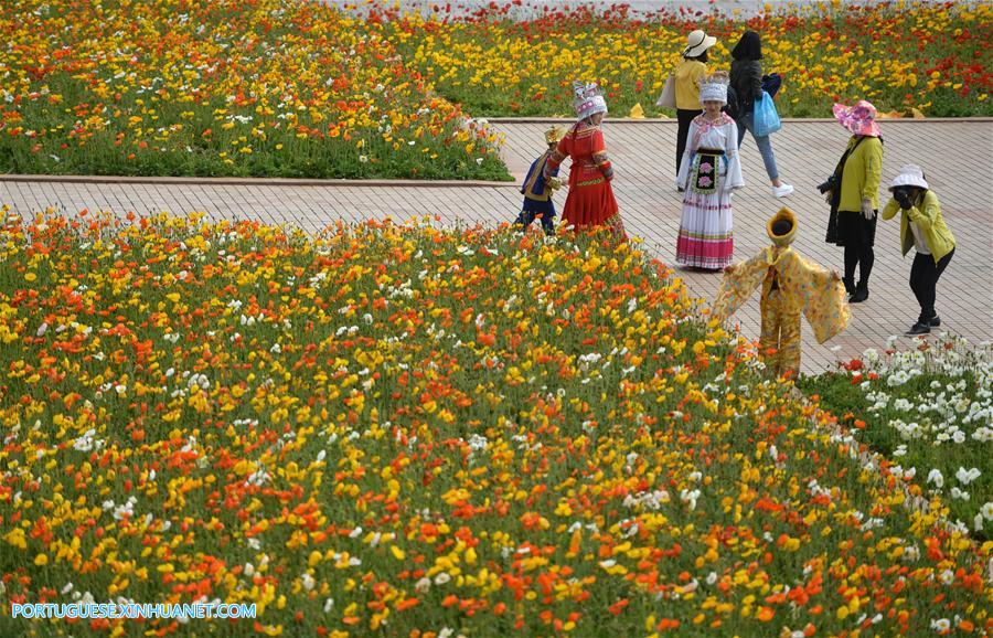 Galeria:Pessoas visitam o jardim da Exposi??o Internacional de Horticultura em Kunming, sudoeste da China
