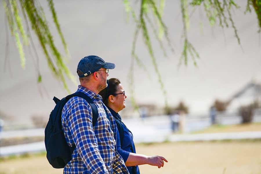 Galeria: Flores de damasco implusionam turismo no noroeste da China