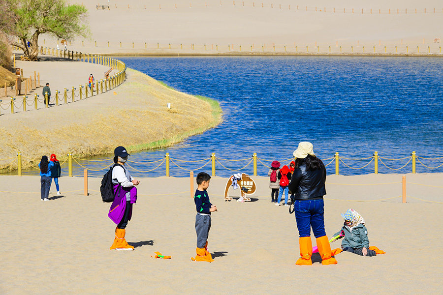 Galeria: Flores de damasco implusionam turismo no noroeste da China