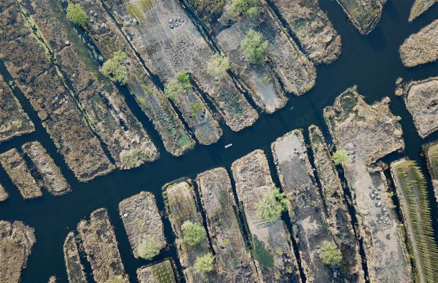Galeria:Trabalho de restaura??o inicia no lago Baiyangdian da Nova área de Xiongan