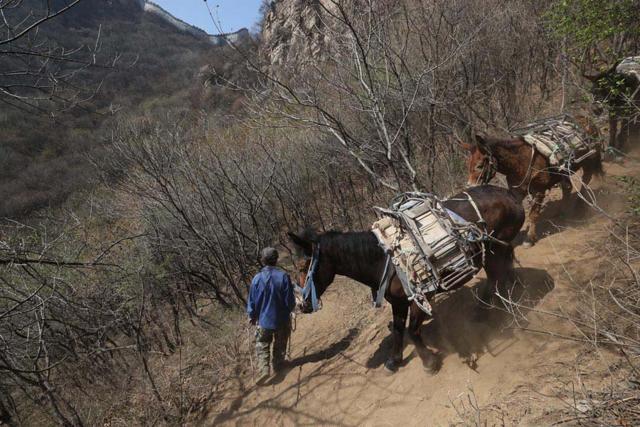 China refor?a prote??o da Grande Muralha