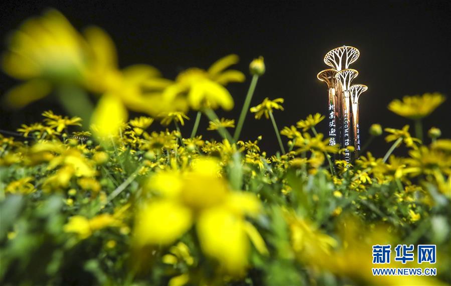 Beijing realiza show de ilumina??o para celebrar o fórum do Cintur?o e Rota