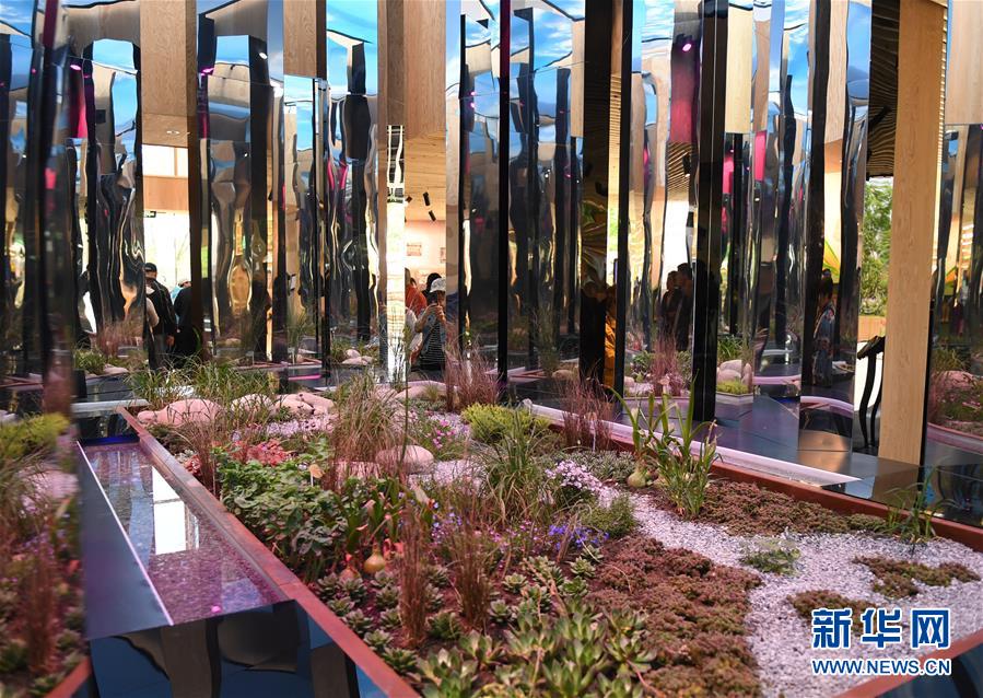 Galeria: “Dia da Alemanha” realizado na Expo Internacional de Horticultura 2019