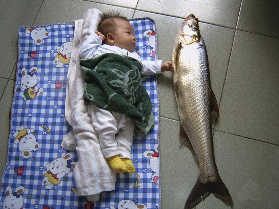 Galeria: Exposi??o fotográfica de comida asiática em Hangzhou