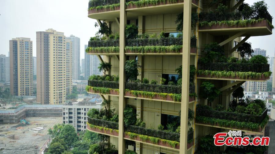 Insólito: Conhe?a a “floresta vertical” em Chengdu