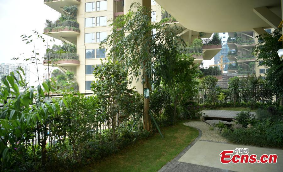 Insólito: Conhe?a a “floresta vertical” em Chengdu