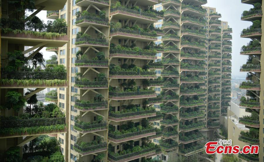 Insólito: Conhe?a a “floresta vertical” em Chengdu