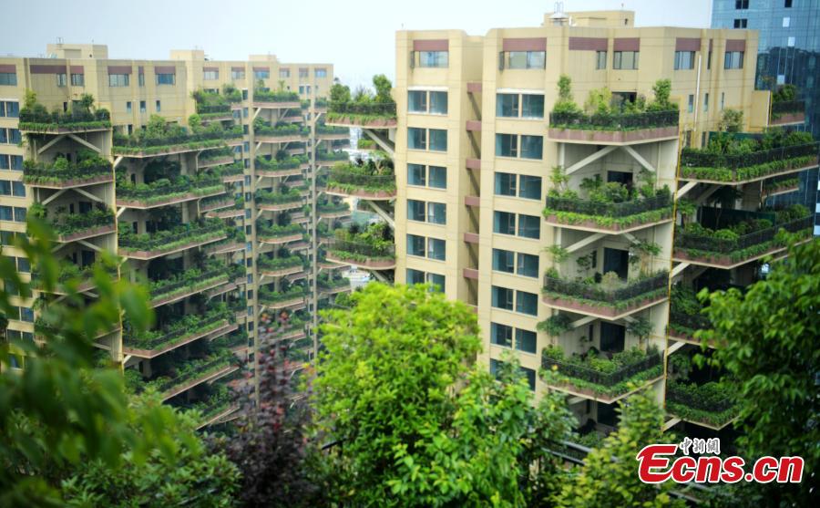 Insólito: Conhe?a a “floresta vertical” em Chengdu