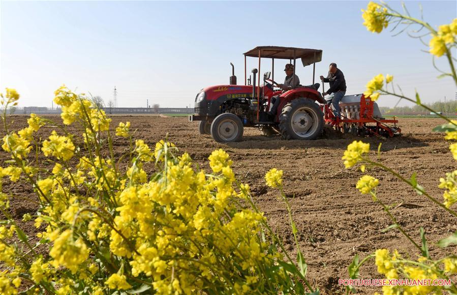 Economia chinesa: crescimento de alta velocidade para desenvolvimento de alta qualidade