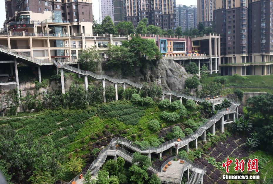 Galeria: Caminho especial para casa em Chongqing