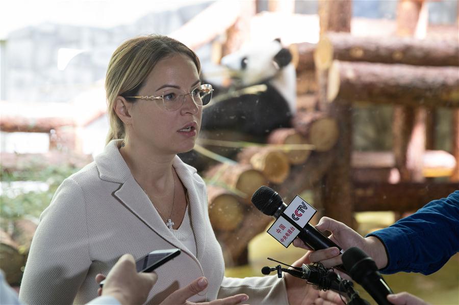 Zoológico de Moscou acolhe pandas-gigantes da China