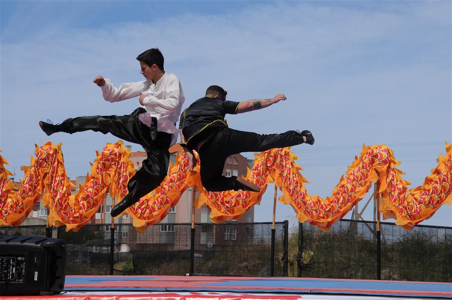 Portugal celebra Festival do Barco do Drag?o chinês
