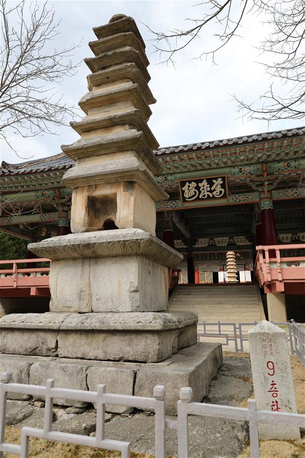 Turismo na RPDC prospera entre chineses gra?as às liga??es históricas