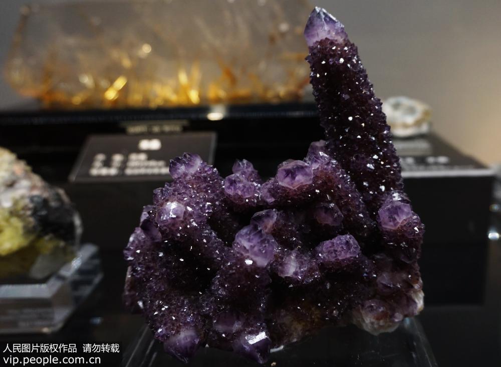 Exposi??o especial de pedras preciosas e minerais raros totalizando mais de 100 milh?es de yuans em Hangzhou