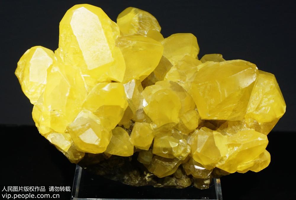 Exposi??o especial de pedras preciosas e minerais raros totalizando mais de 100 milh?es de yuans em Hangzhou