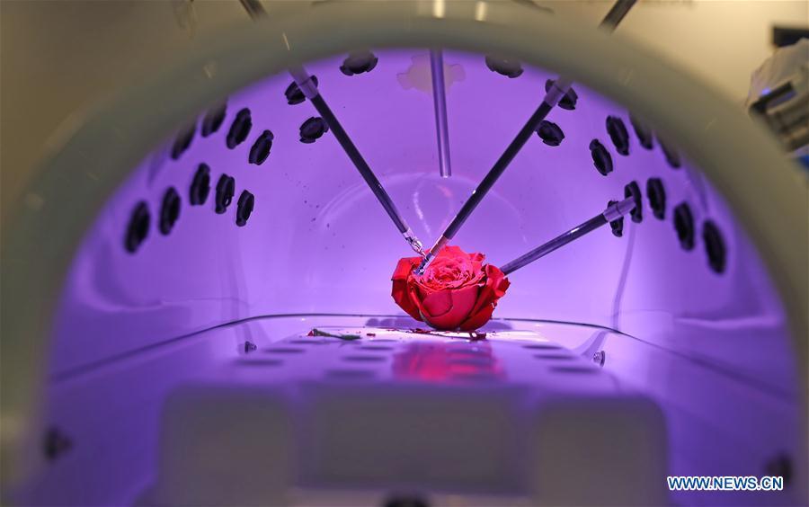 Inaugurado o Fórum de Davos de Ver?o de 2019