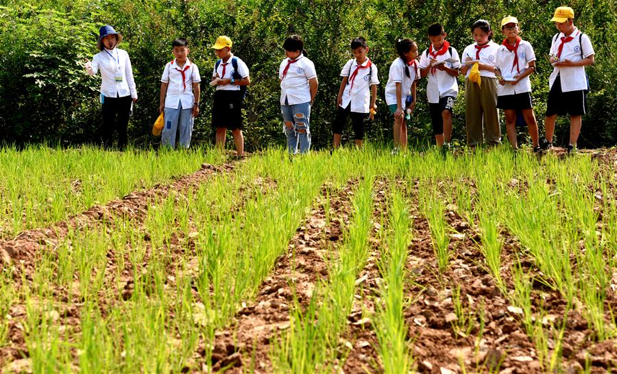 Estudantes chineses aproveitam suas férias de ver?o