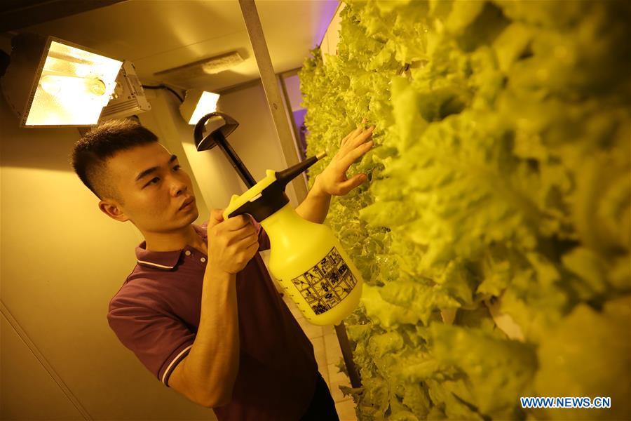 Navio de rastreamento Yuanwang-3 completa miss?o de monitoramento