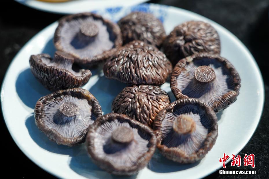 Insólito: Kunming realiza banquete com “refei??o de pedra”