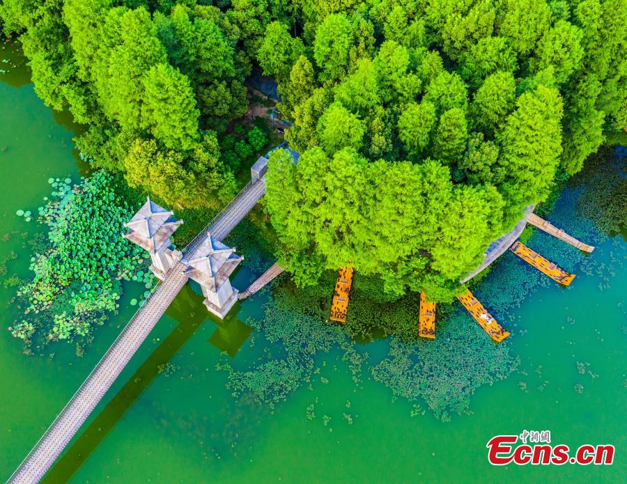 Galeria: paisagem única da ilha de Luoyang