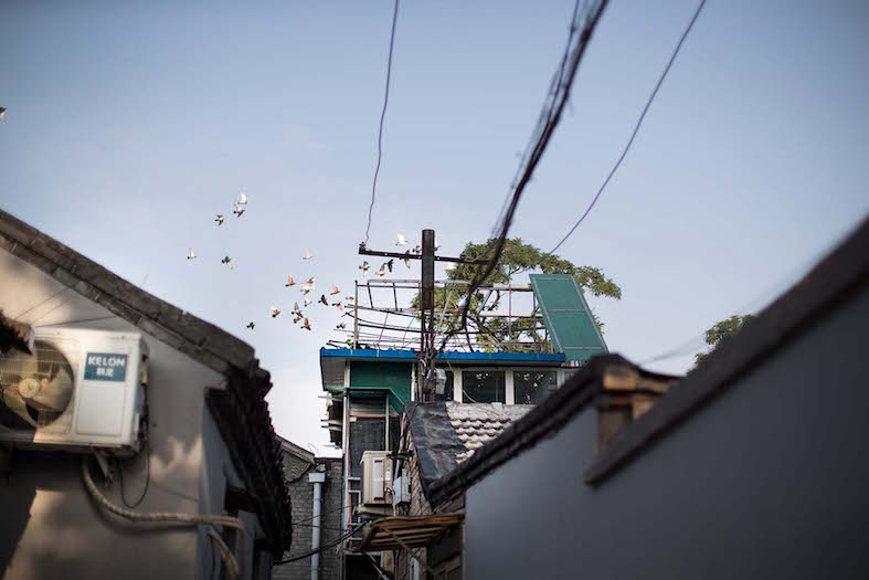 Antigos “Hutongs” na lente da fotógrafa alem?