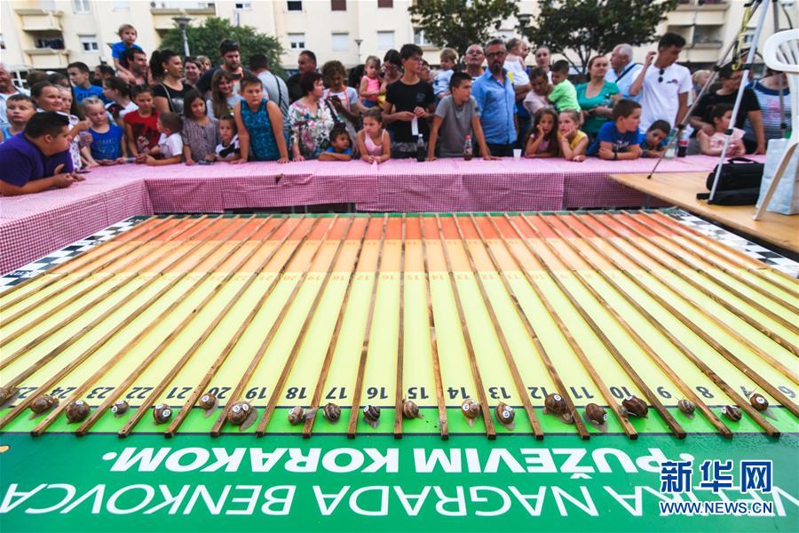 Insólito: Campeonato de corridas de caracol realizado na Croácia