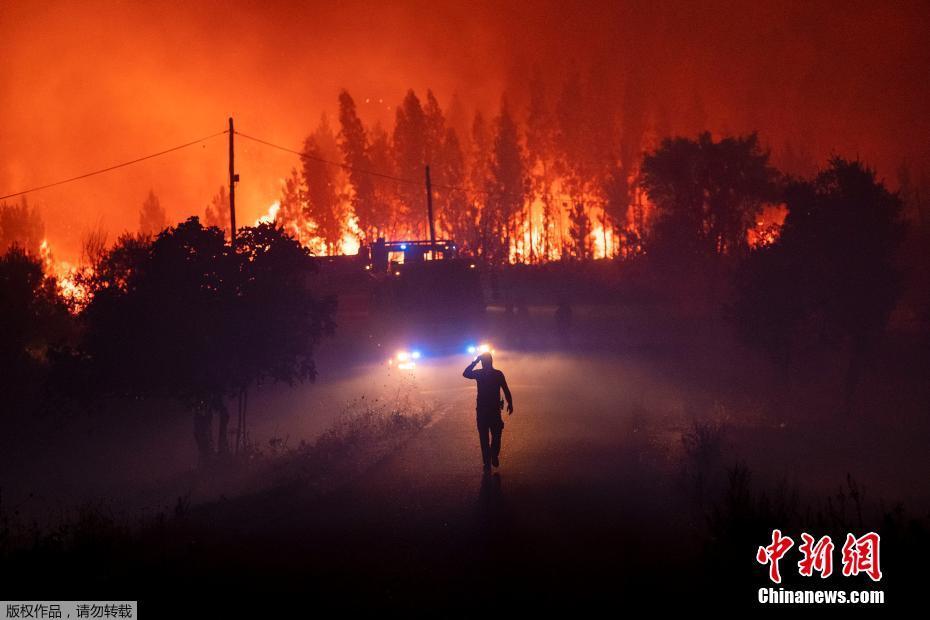 Portugal: Incêndio florestal em Castelo Branco deixa pelo menos 30 feridos
