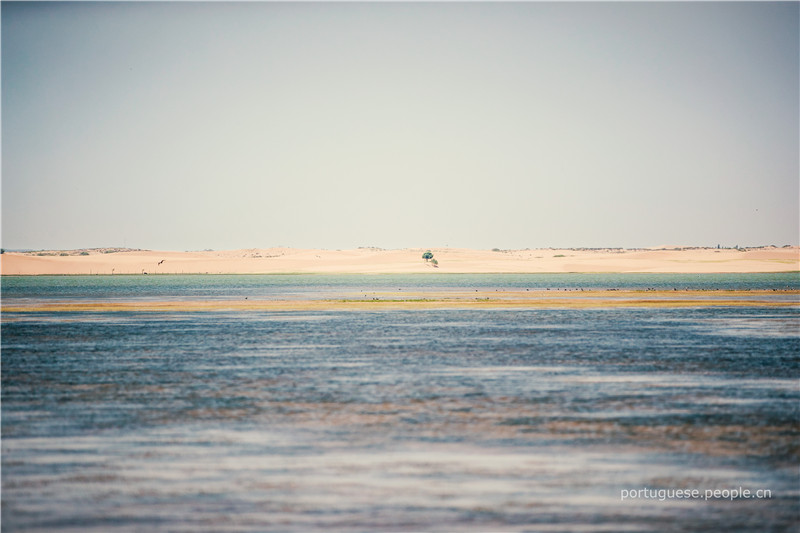 Galeria: Um paraíso onde coexistem pradarias e desertos na Mongólia Interior
