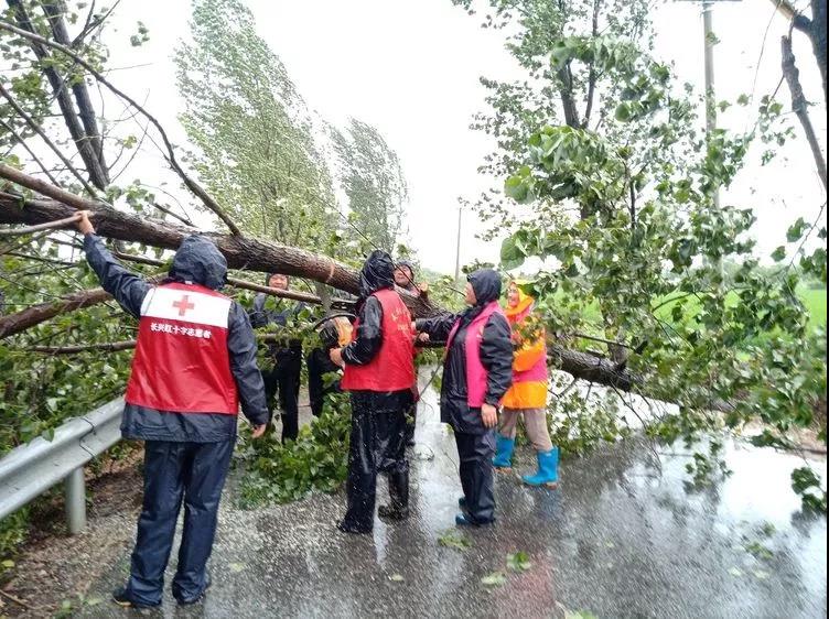 Sociedade da Cruz Vermelha da China envia materiais de ajuda a regi?es afetadas pelo Lekima